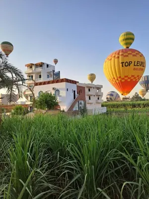 a yellow and orange hot air balloon flying over a field at Flower Of Life Hotel in Luxor