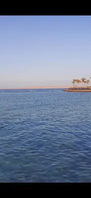 a large body of water with palm trees on an island at Scandic Cinde in Hurghada