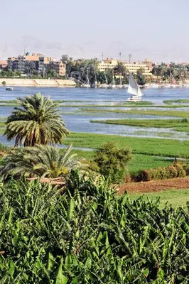 a sailboat on the water with a palm tree at Villa Rebecca in Luxor
