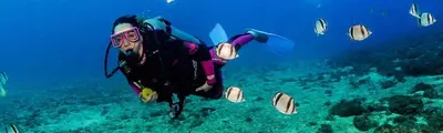 a person is swimming in the ocean with fish at Sunshine villa ( south Safaga ) in Safaga