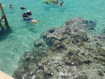 a group of people in the water near the reef at Buki-Gravity-Homes, Ap No2, seaview , HEATED pool, 5 star resort Gravity Sahl Hasheesh-FOR GUESTS WITH NONEGYPTIAN PASSPORTS in Hurghada