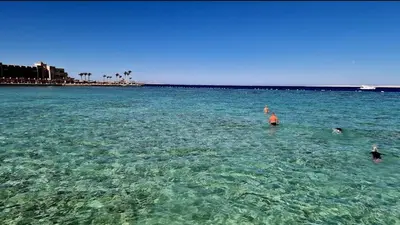 a group of people swimming in the ocean at Scandic Resort Hurghada in Hurghada