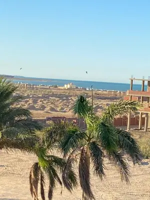 two palm trees on a sandy beach with the ocean at Red Ruby Compound منتجع الياقوتة الحمراء in Hurghada