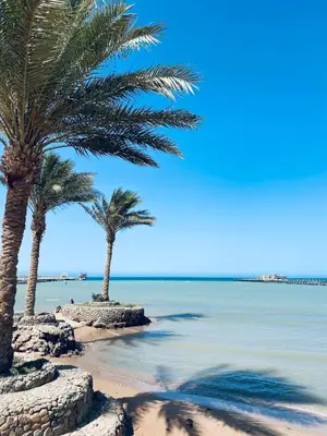 two palm trees on a beach with the ocean at Apartment in el karma aqua beach resort hurghada near El gouna in Hurghada