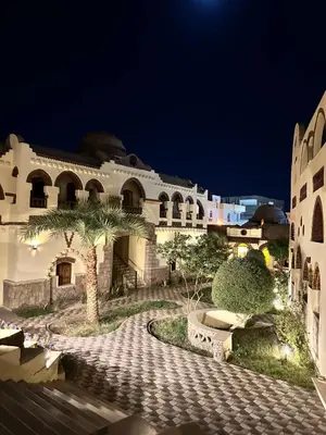 a building with a palm tree in front of a street at Elphardous Oasis Hotel in Luxor