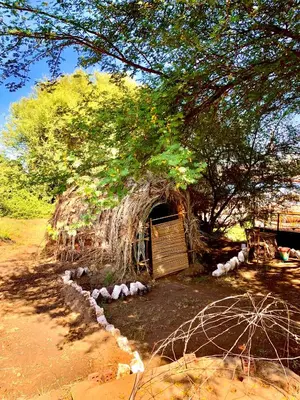 a small hut under a tree with rocks around it at Salatoos Mango Garden and Guesthouse in Aswan