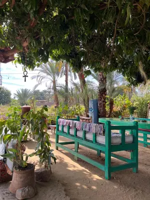 two green benches sitting under a tree in a park at Salatoos Mango Garden and Guesthouse in Aswan