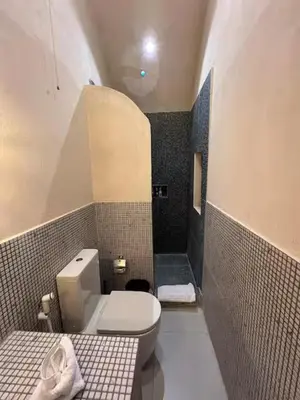 a small bathroom with a toilet and a shower at Ayujidda Nubian House in Aswan