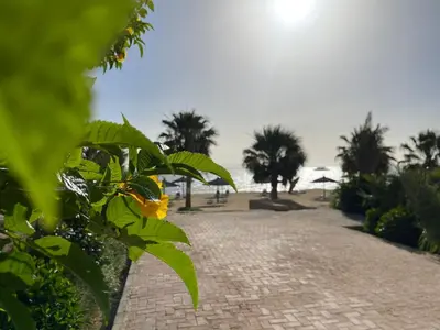 a brick pathway with palm trees on the beach at شقه بغرفه نوم في الغردقه in Hurghada