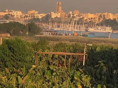 a field of crops with a city in the background at Djorf apartments in Al Aqālitah