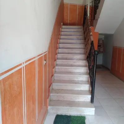 a staircase in a building with a green rug at Ali habou {4} in Luxor