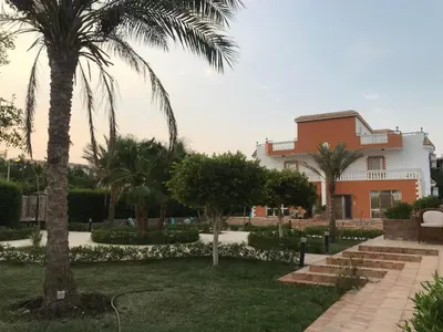 a house with palm trees in front of it at Hurghada-Magawish Villa 4 in Hurghada