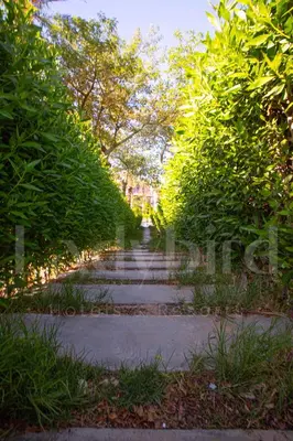 a path between trees in a park at Ladybird - Veranda Beach House in Hurghada