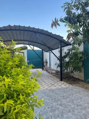a patio with a black umbrella and some bushes at El Hady Apartments with Swimming Pool in Luxor