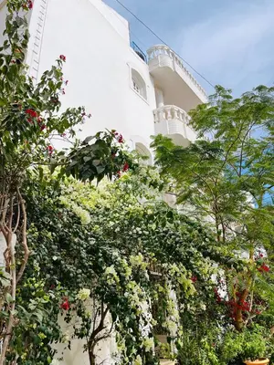 a white building with flowers and trees in front of it at Roses House Ladies or families only in Luxor