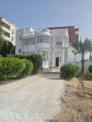 a large white house with a palm tree in front of it at White House Hurghada in Hurghada