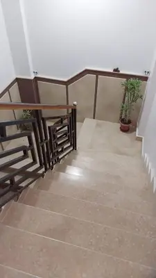 a set of stairs with potted plants on them at Shahhat Flat in Luxor
