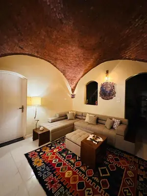 a living room with a couch and a rug at West Bank luxury villa in Luxor