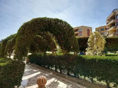 a garden with an arch and a pumpkin in a yard at Al-hambra in Hurghada