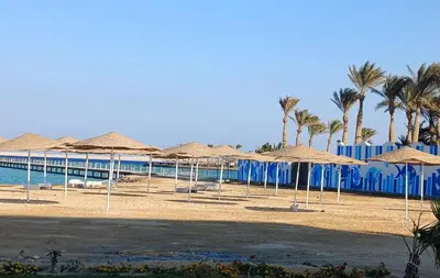 a beach with many straw umbrellas and palm trees at Perfect For couples Sunny & SeaView with Wi-Fi in Hurghada