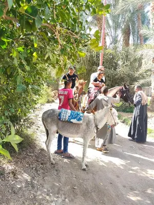 a group of people riding on the back of a donkey at Dream Garden Luxor in Luxor