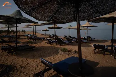 a group of chairs and umbrellas on a beach at Fox Resort El Gouna Stay in Hurghada