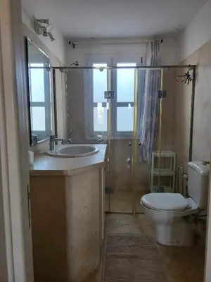 a bathroom with a toilet and a sink and a shower at Elgouna - Directly To The Marina in Hurghada
