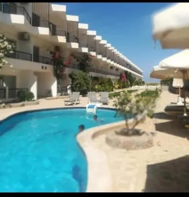 a large swimming pool in front of a building at Fox house resort Apartment hotel in Hurghada