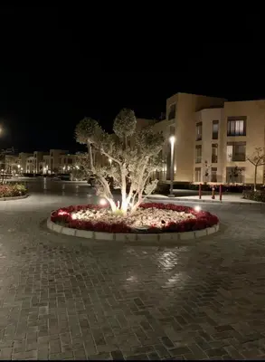 a tree in a flower bed in front of a building at Mangroovy- 1BR Sea Breeze Back Sea view in Hurghada