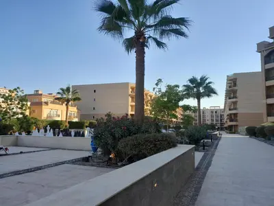 a palm tree in the middle of a sidewalk at Selena bay in Hurghada
