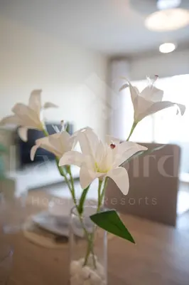 a vase filled with white flowers on a table at Ladybird - Veranda Skyline in Hurghada