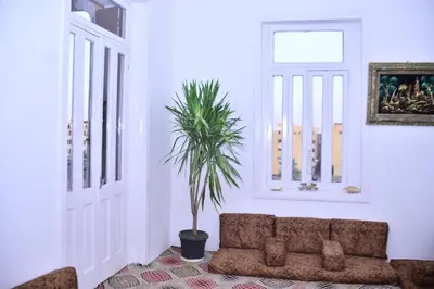 a living room with a couch and a palm tree at Alam B&B Luxor in Luxor