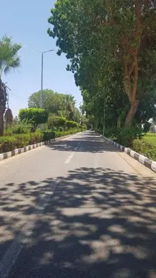 an empty road with trees on both sides of it at Elminaa Residents 2 in Luxor