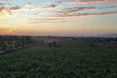 a green field with the sunset in the background at El Minaa Residents 5 in Luxor