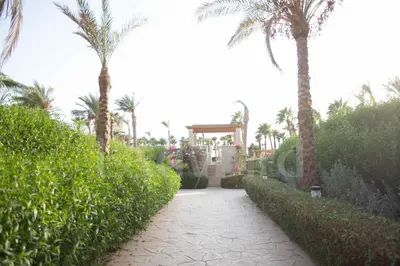 a walkway with palm trees and a house with a gate at Ladybird - Veranda Highline in Hurghada