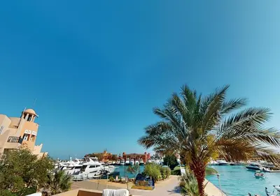 a palm tree sitting next to a body of water at Stylish Apartment 3 Brooms MB1at Marina Abu-Tig with Marina View in Hurghada