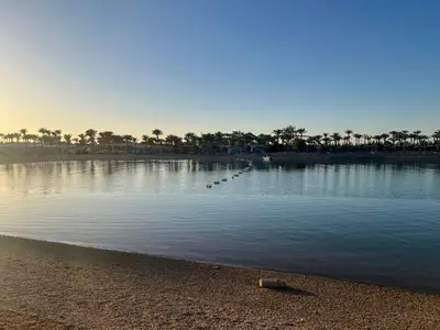 a body of water with trees and a beach at Apartment 2 bedroom and 2 Bathroom pool view at mirage bay in Hurghada