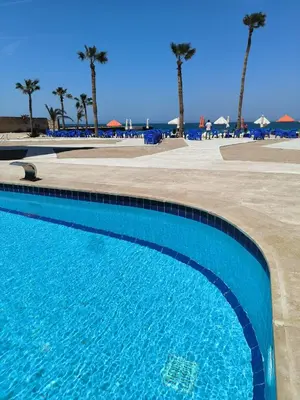 a swimming pool next to a beach with palm trees at Terracotta studio with amazing beach and sea view in Hurghada