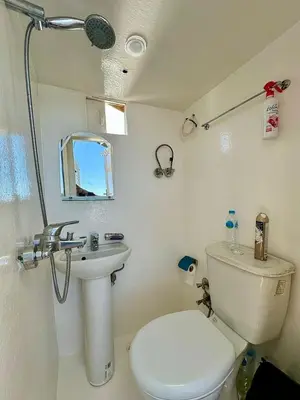 a small bathroom with a toilet and a sink at 2nights Felucca from aswan to komobo temple in Aswan