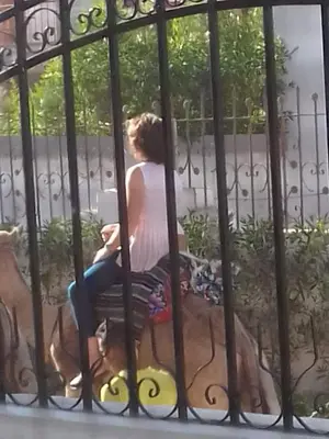 a woman sitting on a bench behind a fence at Luxor Palm Villa in Luxor