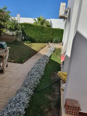 a rock walkway in a yard next to a building at Hurghada Egypt Gable Al Haream Next-door to Hilton Plaza in Hurghada