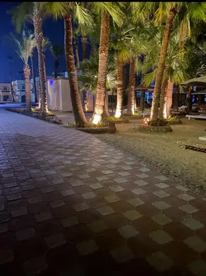 a cobblestone street with palm trees at night at Elixir in Hurghada