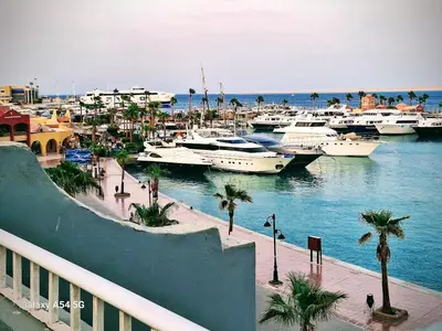 a group of boats docked in a harbor at Comfort Marine in Hurghada