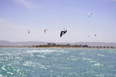 a group of birds flying over a body of water at Mangroovy- 1BR Sparkling Condo in Hurghada