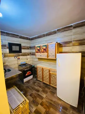 a kitchen with a refrigerator and a stove at Basmatic2 Nubian Guest House in Aswan