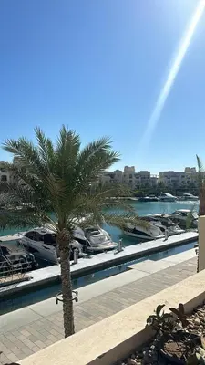 a palm tree next to a marina with boats at ElGouna, Elegant 1Bedroom, private patio in Fanadir Marina in Hurghada