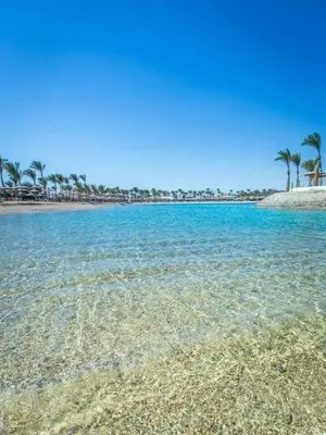 a beach with crystal clear water and palm trees at شاليه في منتجع ميراج in Hurghada