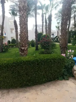 a park with palm trees and bushes and a building at شاليه في منتجع ميراج in Hurghada