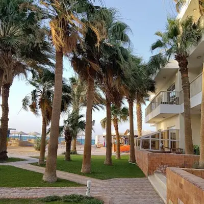 a group of palm trees in front of a building at Salvatore Rooms- All Inclusive in Hurghada