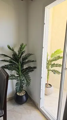 two palm trees in a room with a mirror at Selena Bay Resort Chalet in Hurghada